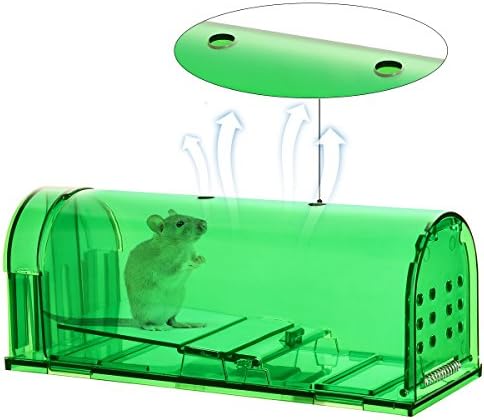 Humane Mouse Trap